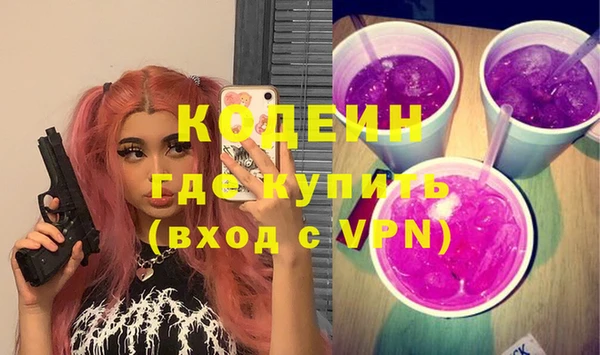 индика Богданович